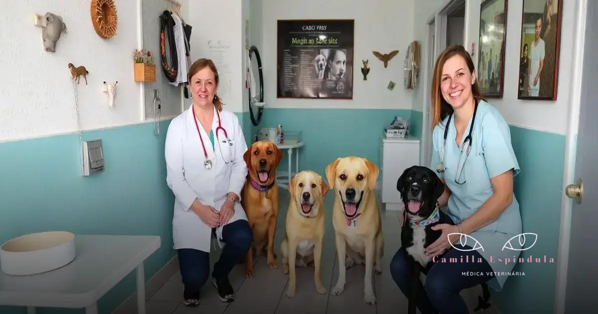 Clínica para pets em Cabo Frio: Cuidados Especiais para Seu Melhor Amigo