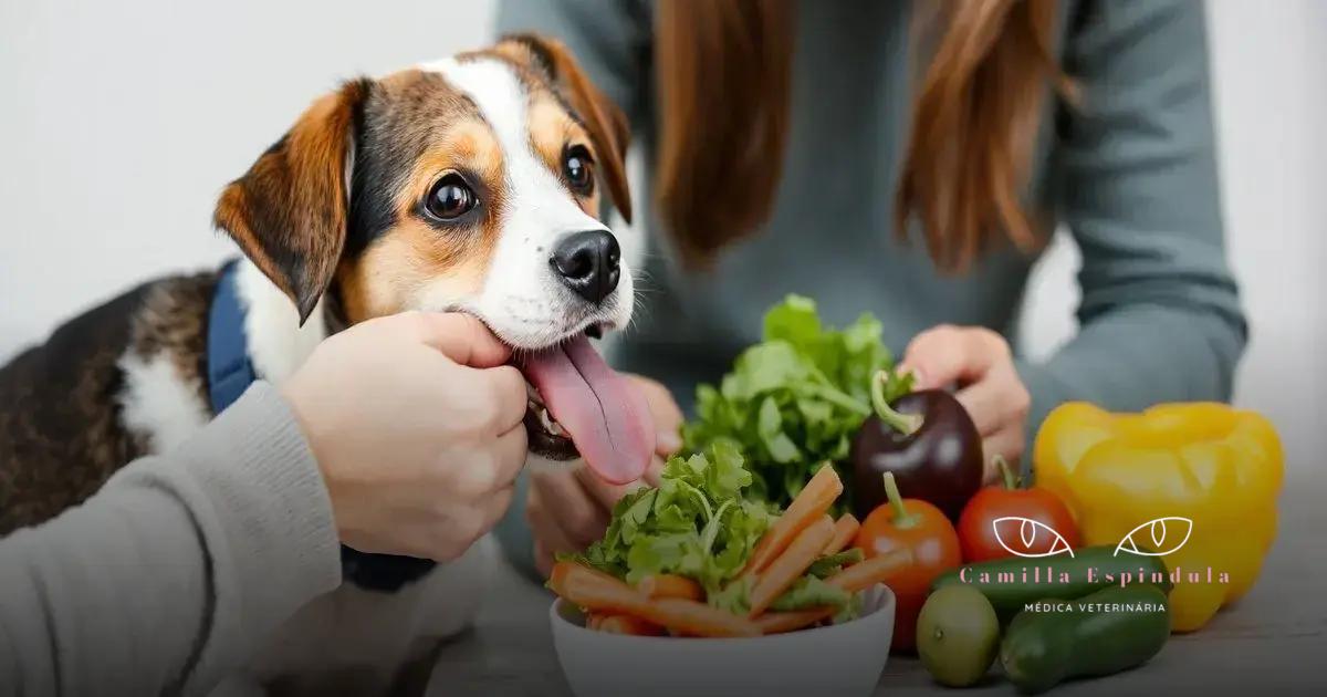 Como prevenir doenças oculares com a dieta