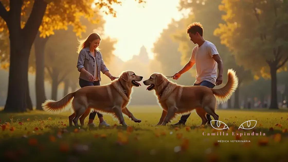 Raças de Cachorro Golden: As Melhores para Sua Família