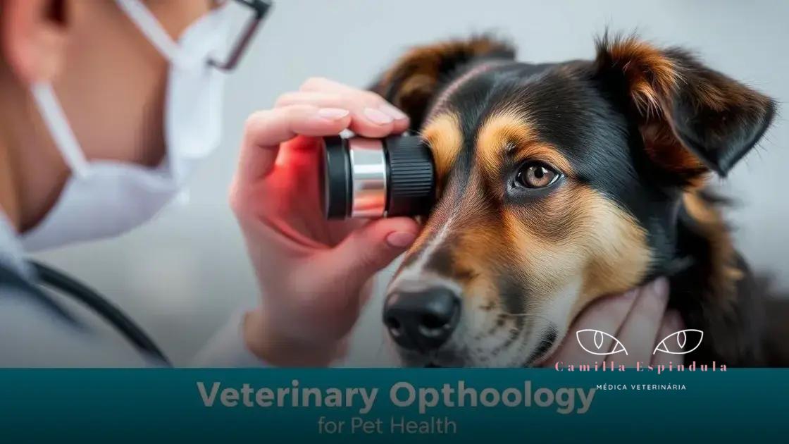 Quando consultar um especialista em oftalmologia veterinária?