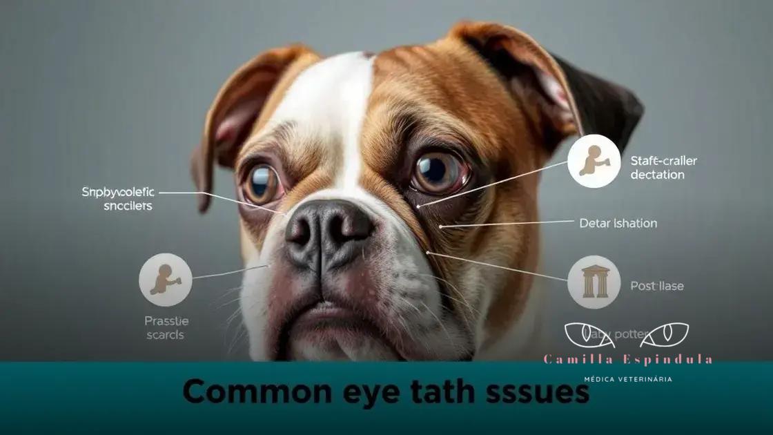 Quais são as 3 doenças oculares comuns em cães braquicefálicos?