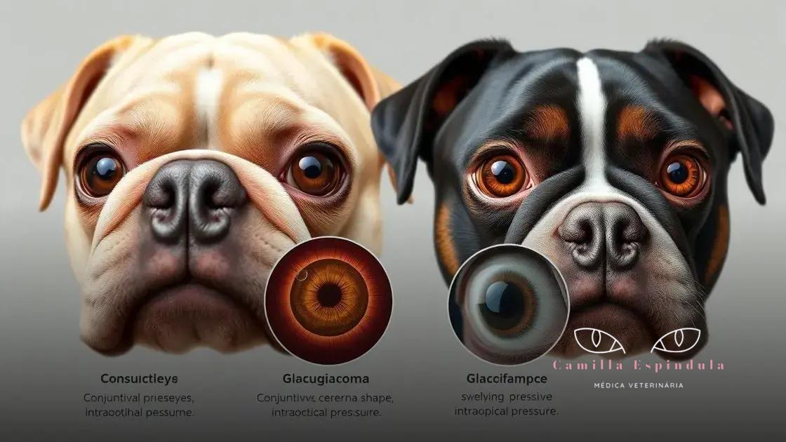 Principais doenças oculares em cães braquicefálicos