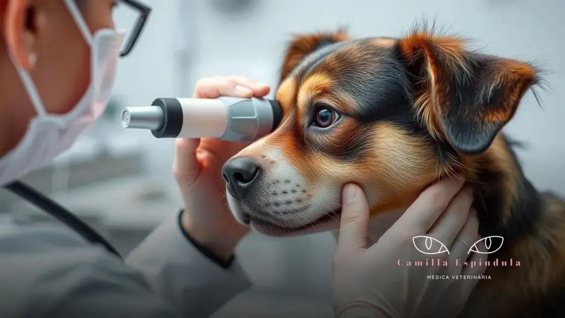 Principais doenças oculares que afetam os cães