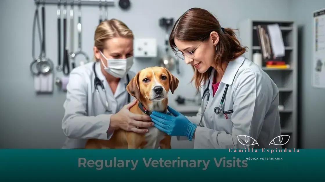 Importância de consultas veterinárias regulares