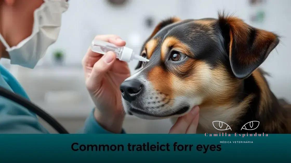 Tratamentos comuns para olhos de cães