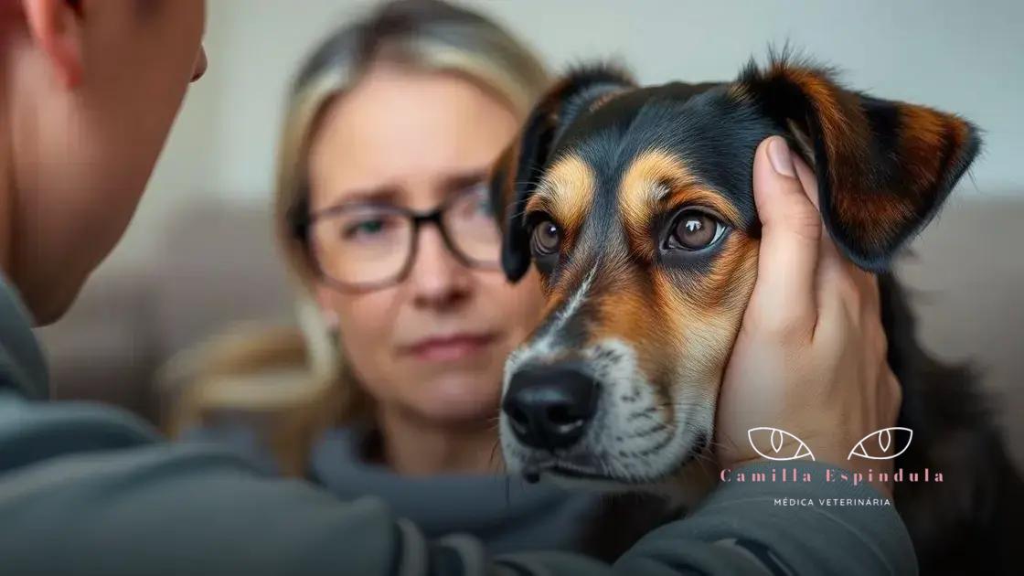Sinais de alerta para buscar ajuda veterinária