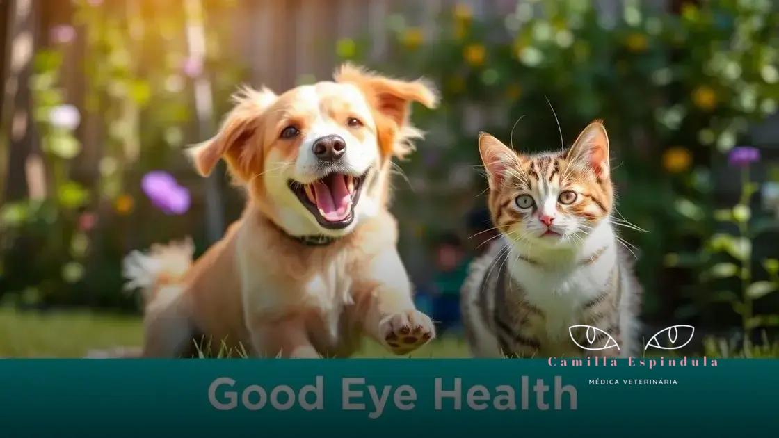 Importância da saúde ocular em cães e gatos