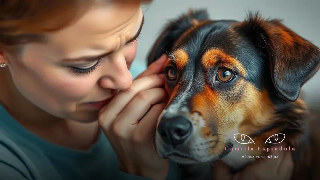 Sinais de problemas de visão em pets