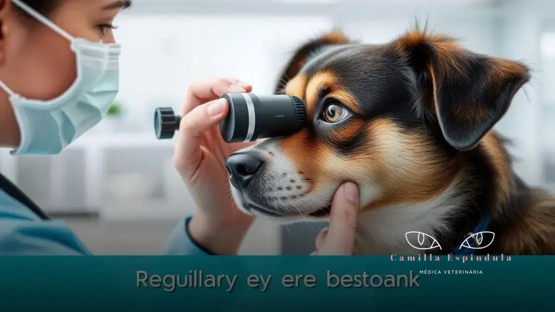 Benefícios das consultas regulares com o oftalmologista