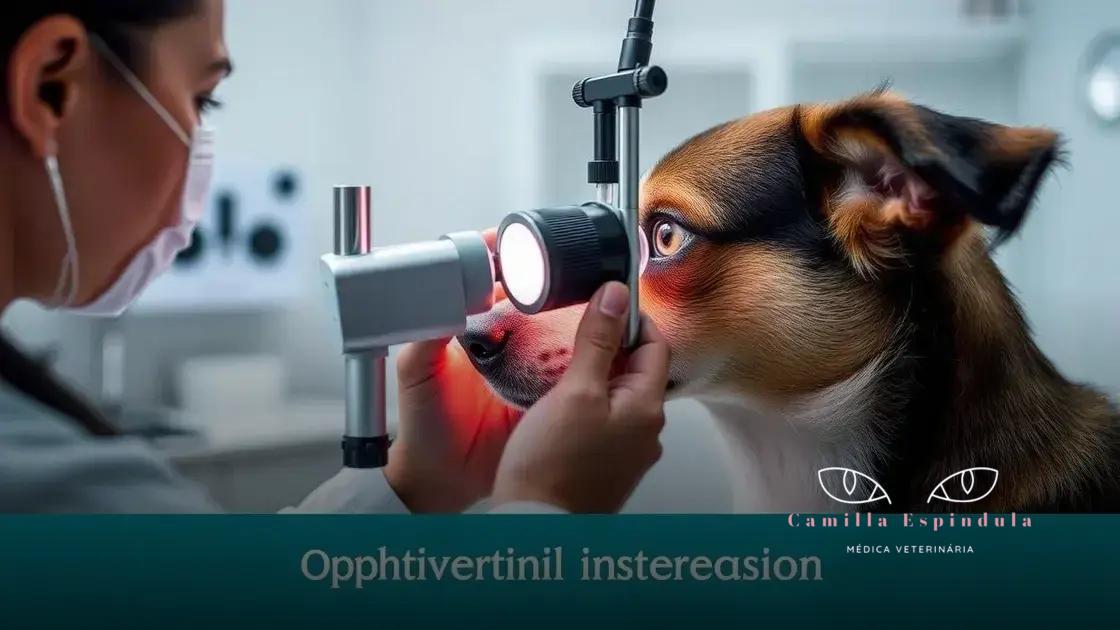 Como funciona o exame oftalmológico em animais