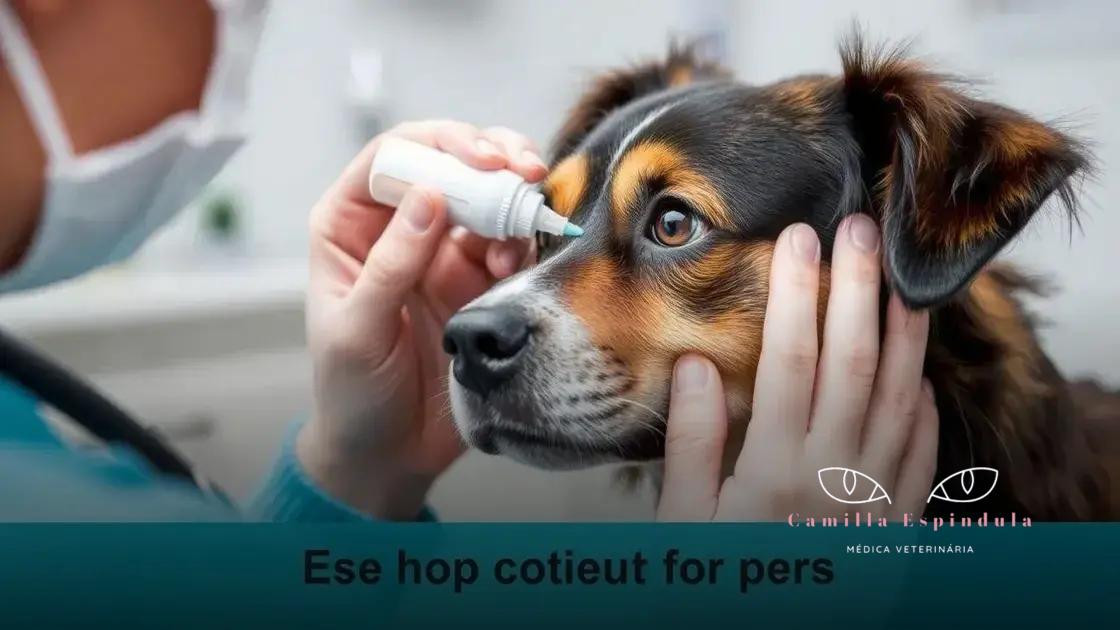 Tratamentos comuns para doenças oculares em pets