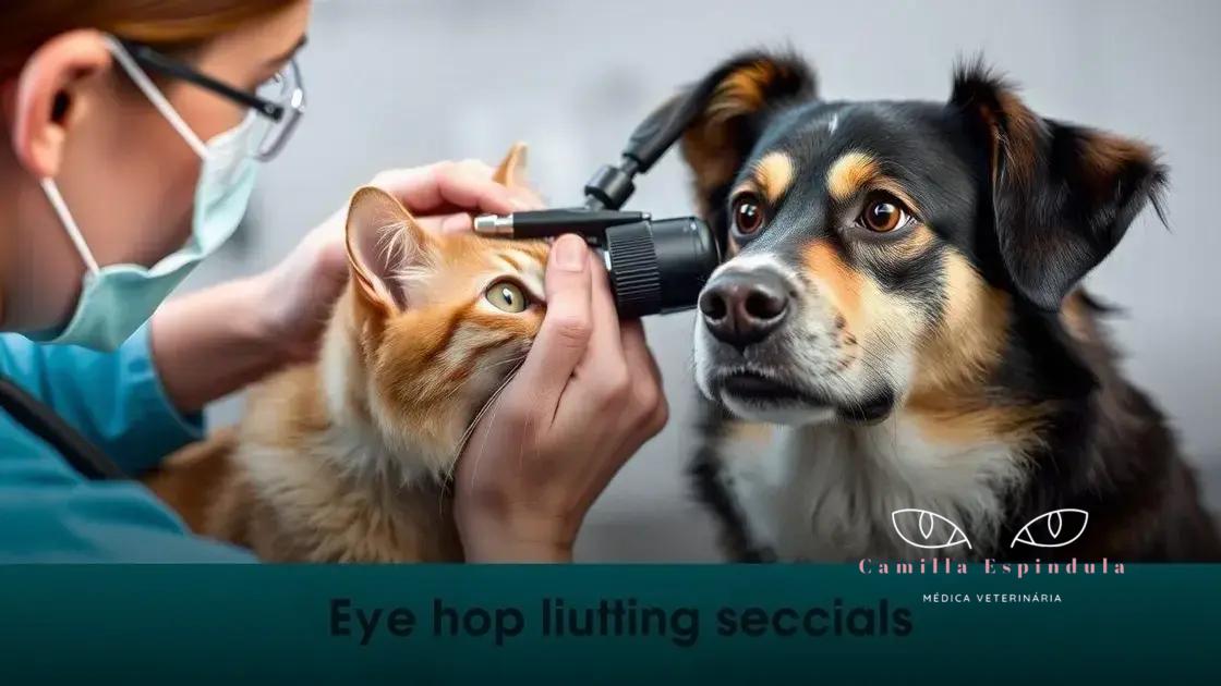 Passo a passo do exame ocular em cães e gatos