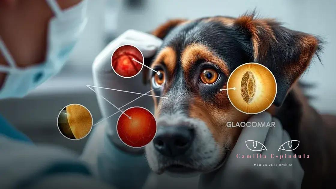 Principais doenças oculares em cães