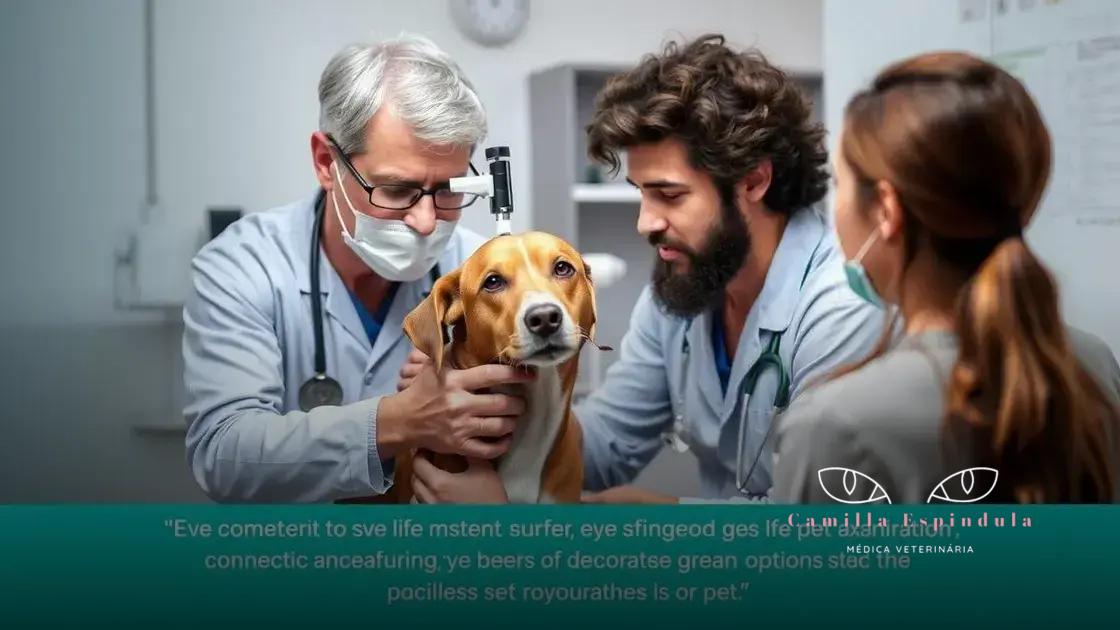 Tratamentos disponíveis para doenças oculares caninas