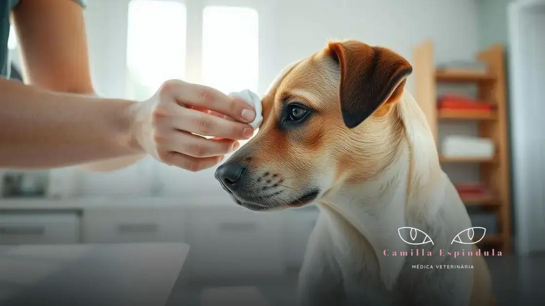 Prevenção e cuidados com a saúde ocular do seu pet