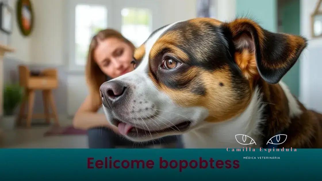 Sintomas de problemas oculares em pets