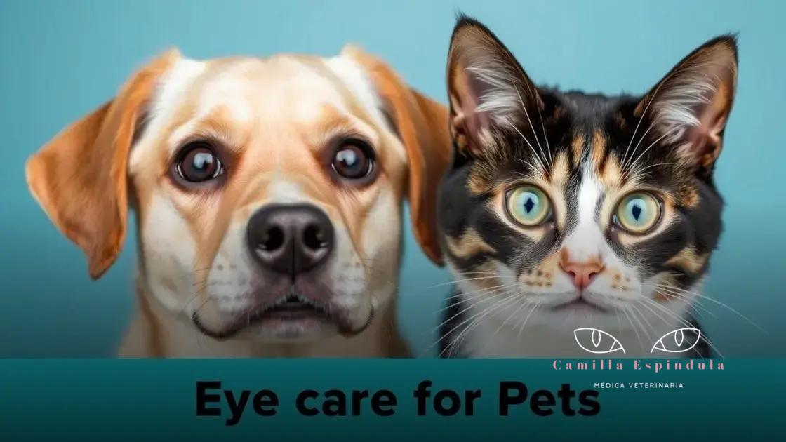 Como tratar blefarite em pets e garantir o bem-estar deles