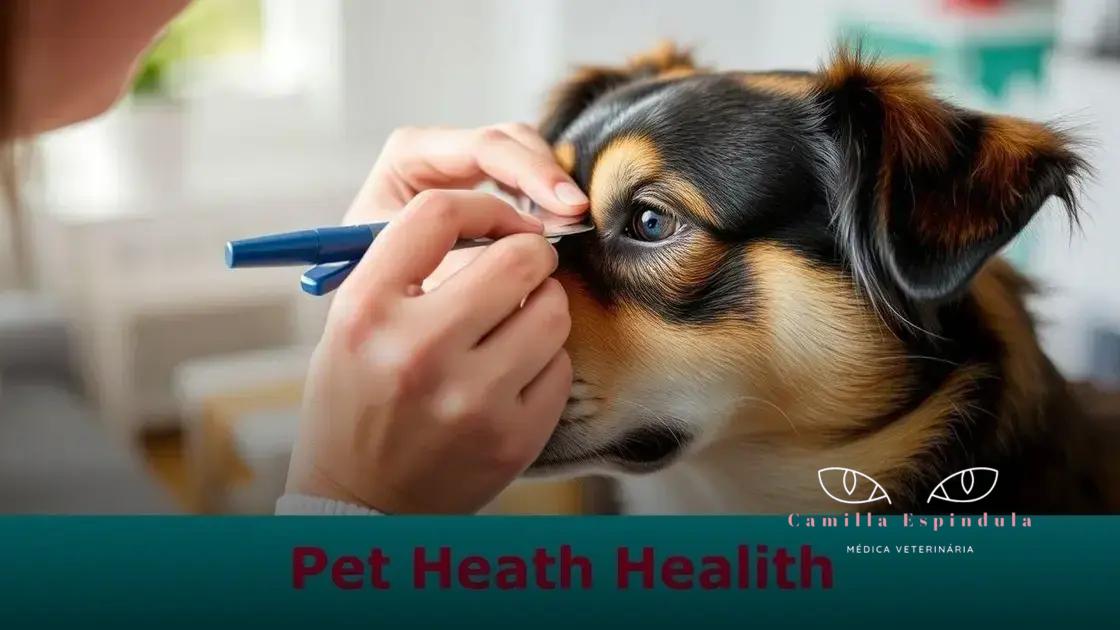 Como cuidar da saúde ocular do seu pet