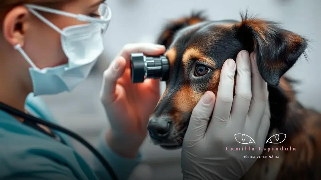 Quando consultar um especialista em oftalmologia veterinária