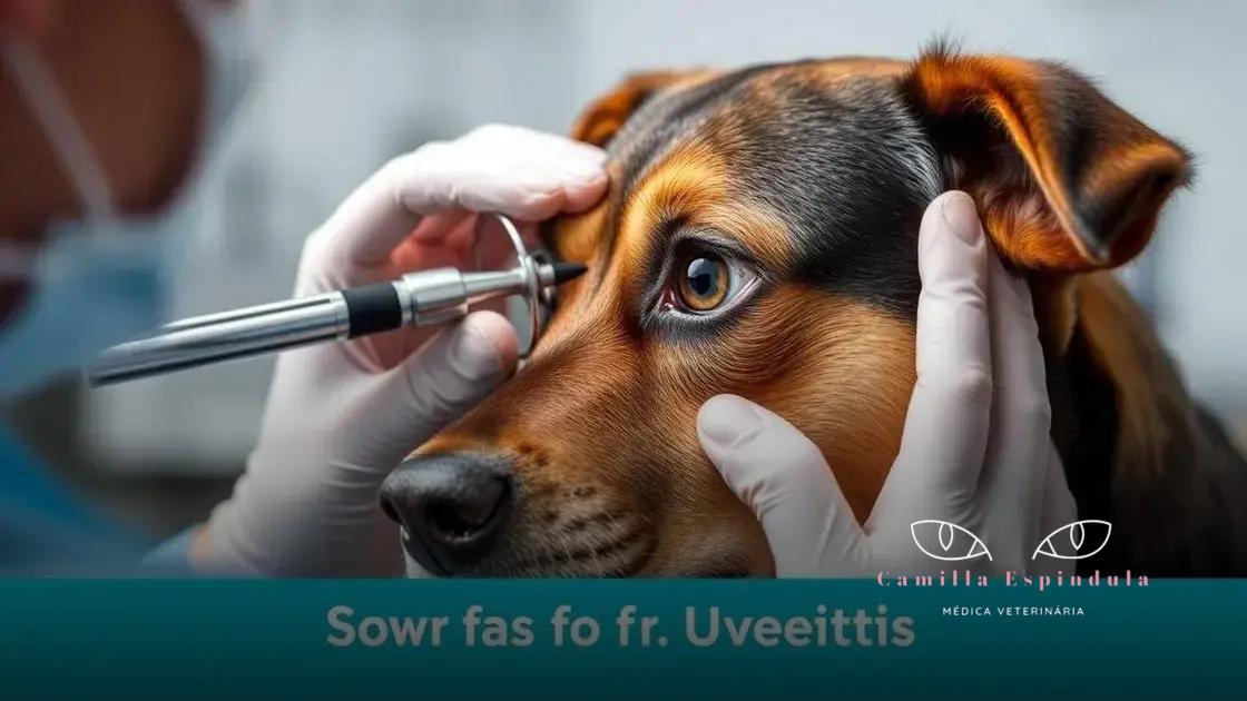 O que é uveíte e quais são suas causas?