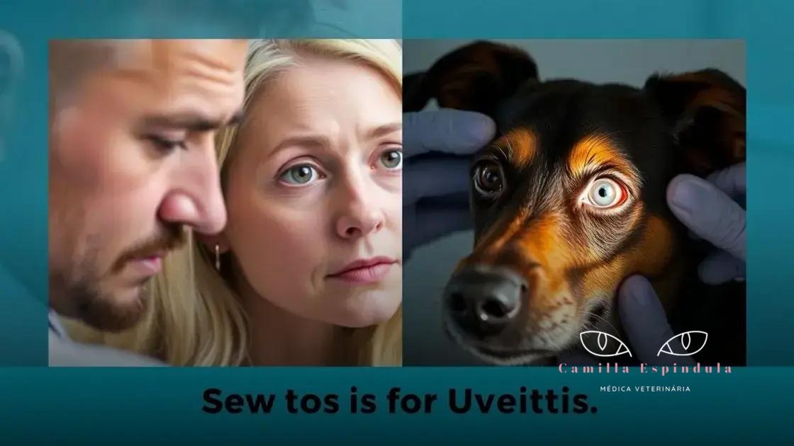 Sinais de que seu pet pode ter uveíte