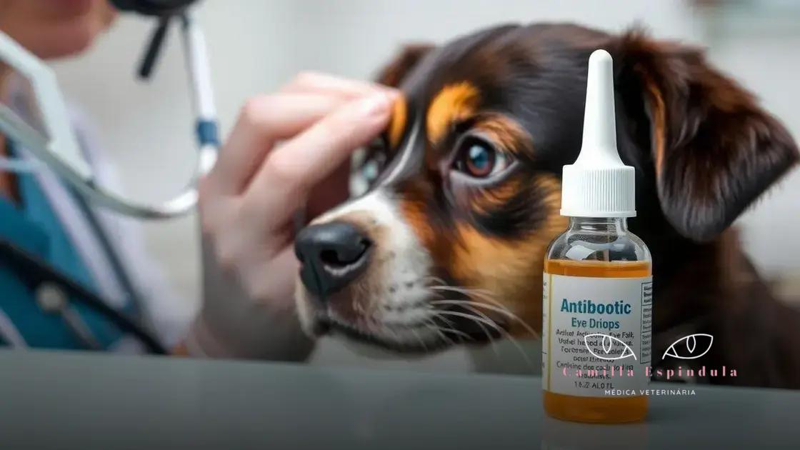 Quando é necessário o uso de colírio antibiótico?