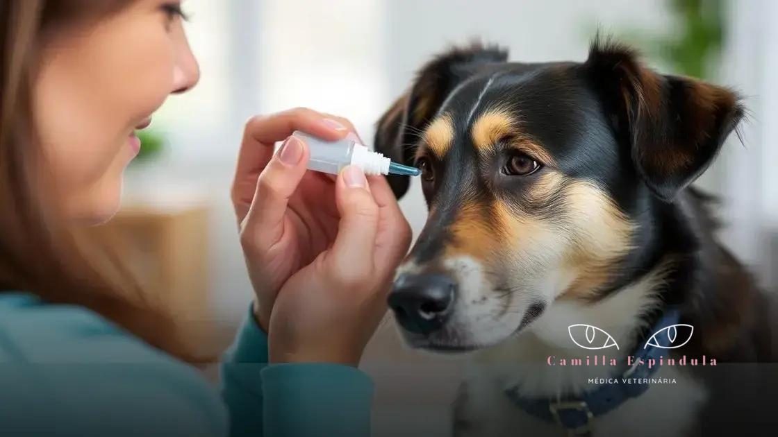 Como aplicar corretamente o colírio nos olhos dos pets