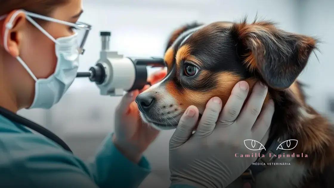 Importância de consultas veterinárias regulares