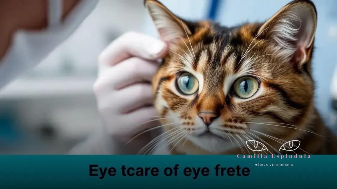 3 tratamentos para úlceras oculares em gatos que você precisa conhecer