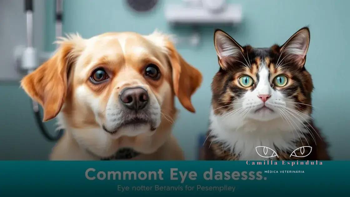 Doenças oculares comuns em pets