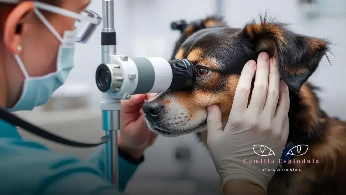 Métodos de diagnóstico do glaucoma canino