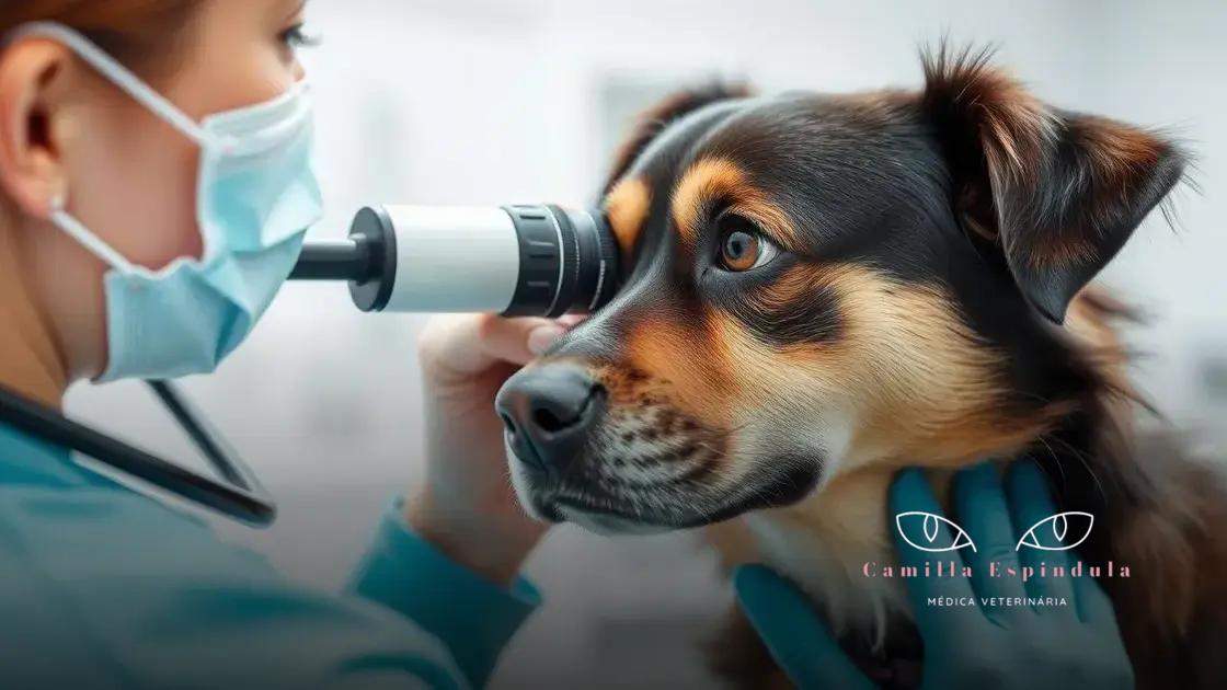 Importância da saúde ocular em cães e gatos