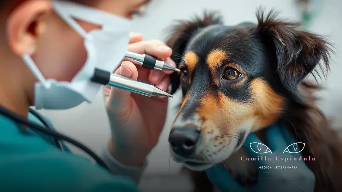 Quando consultar um oftalmologista veterinário
