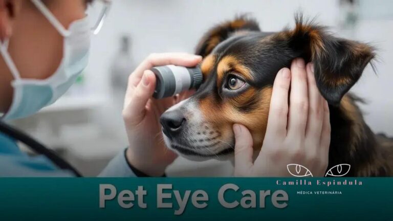 Por que é importante a prevenção da cegueira em pets e como fazê-la