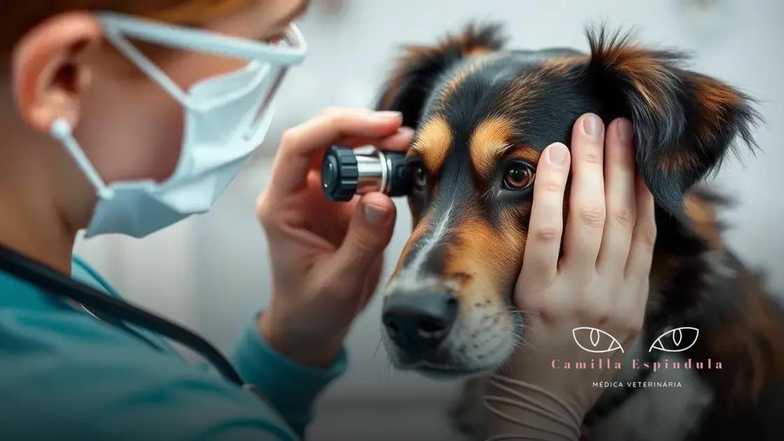 check-up oftalmológico em pets é necessário: entenda quando e por que levar seu amigo