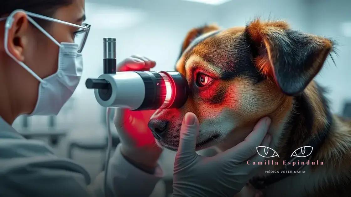 Como é realizado o exame oftalmológico em pets