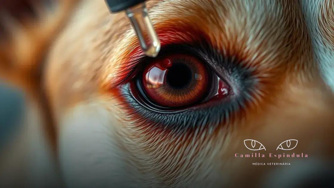 como o colírio age nos olhos do animal