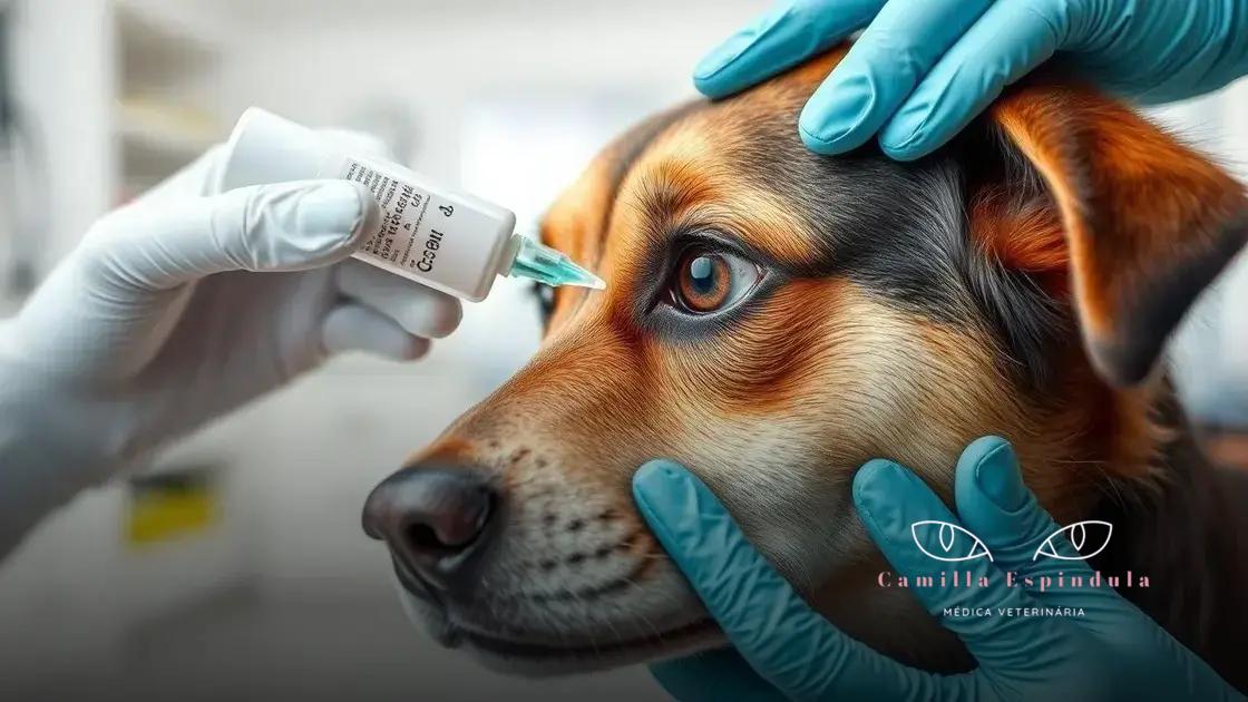 como o colírio antibiótico age nos olhos dos animais