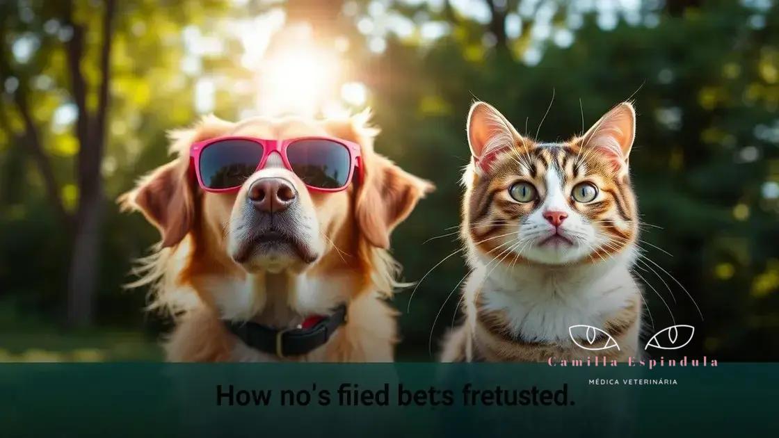 como proteger os olhos dos pets do sol e evitar danos na visão do seu amigo