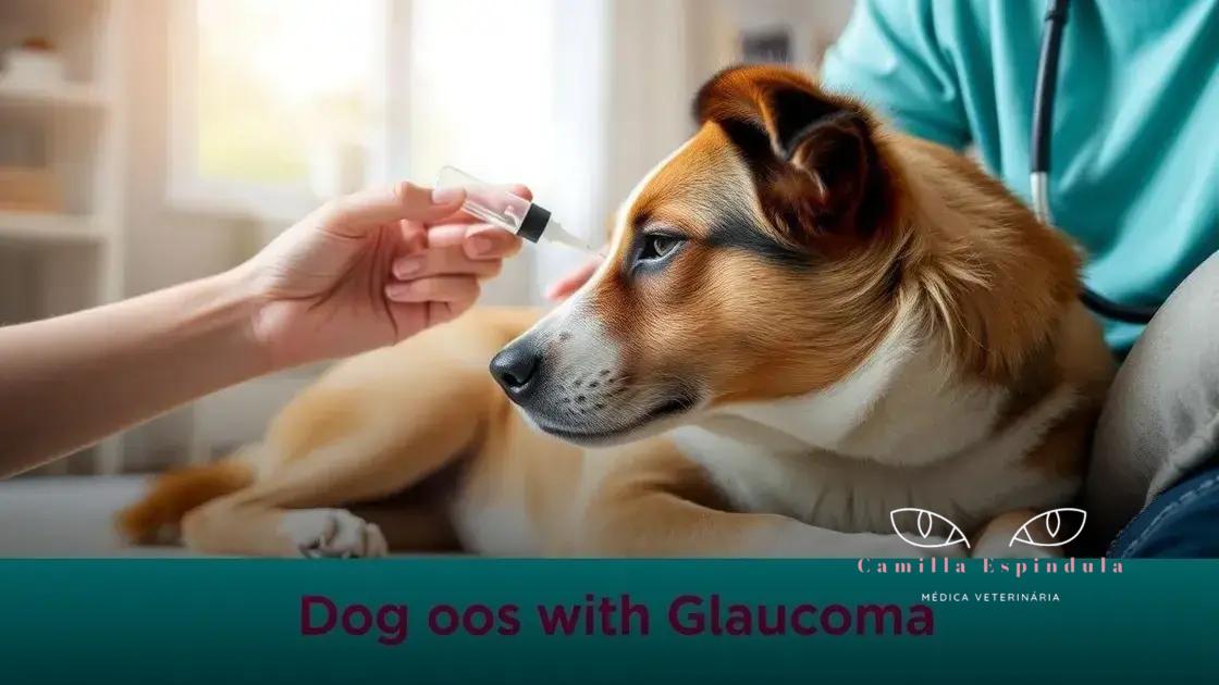 Cuidados diários para cães com glaucoma