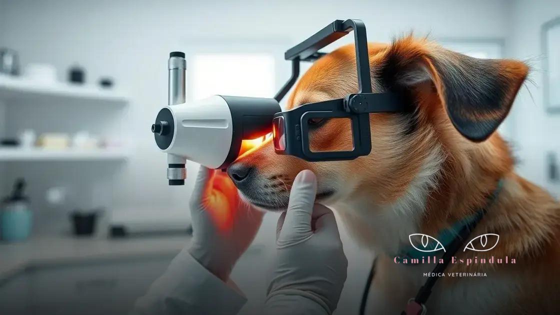 Importância da consulta veterinária especializada