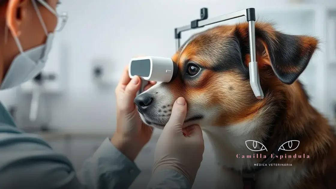 Importância dos exames regulares para saúde ocular do pet