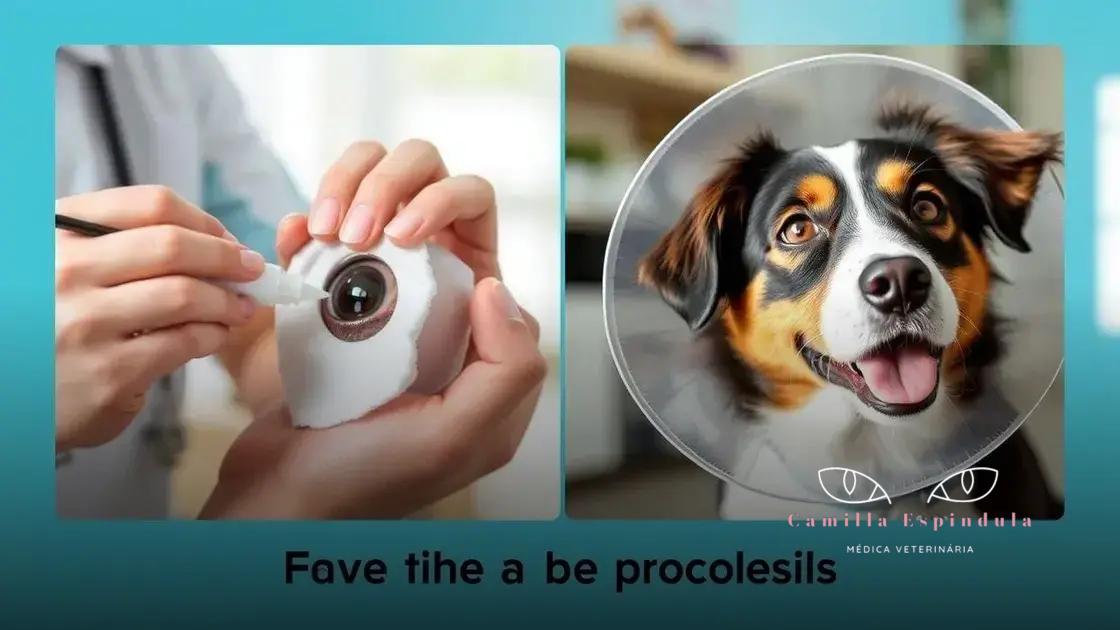 Medidas práticas para tratar e prevenir problemas oculares em pets