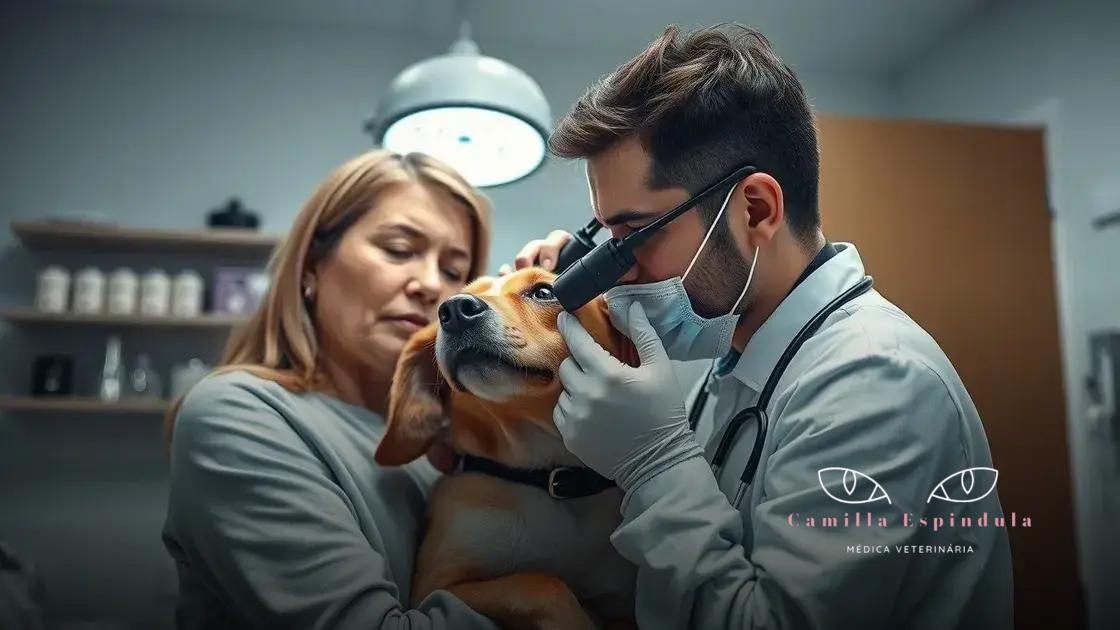 por que não usar colírio de humano em animal pode ser perigoso para seu pet