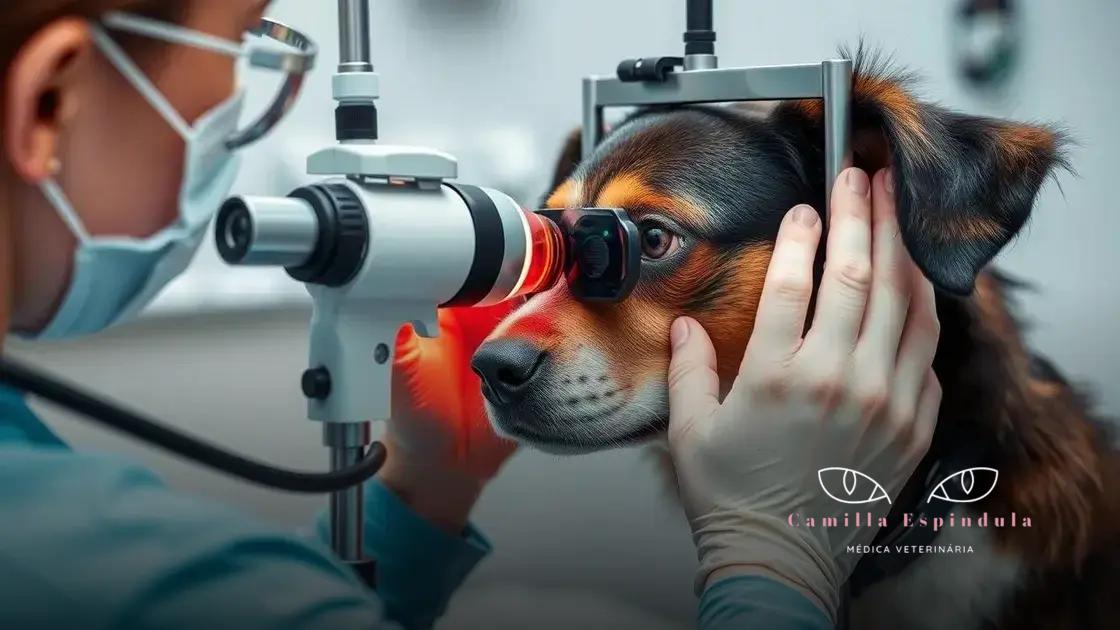 principais etapas do exame oftalmológico em animais