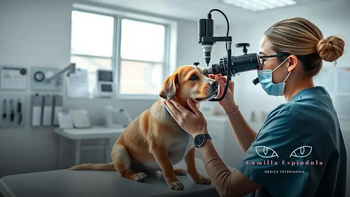 principais métodos para diagnosticar o grau da catarata