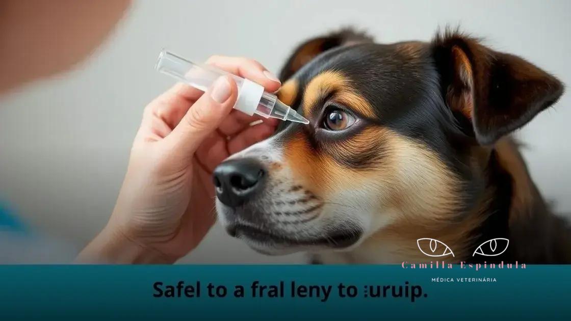 Quando é seguro usar soro fisiológico nos olhos dos pets