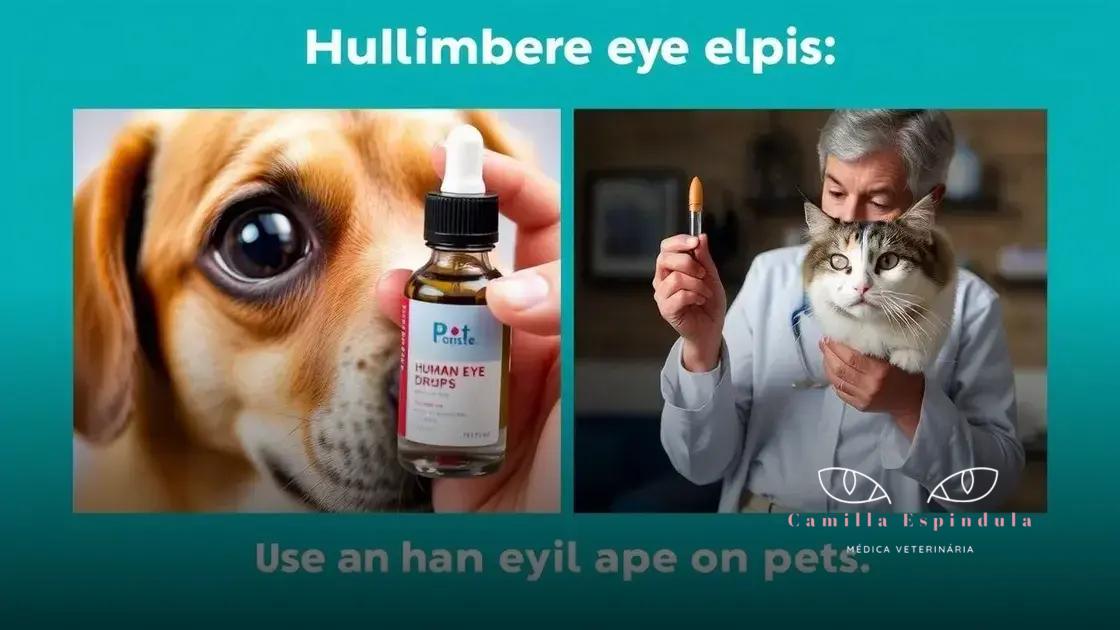 riscos de usar colírios humanos em pets