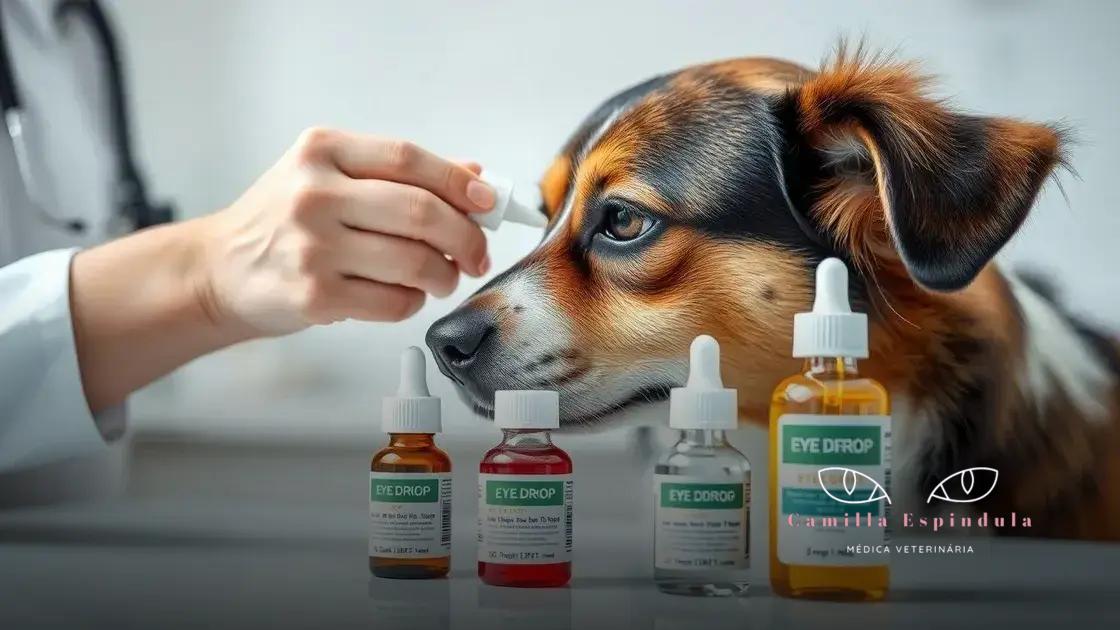 tipos de colírios indicados para cachorro com alergia