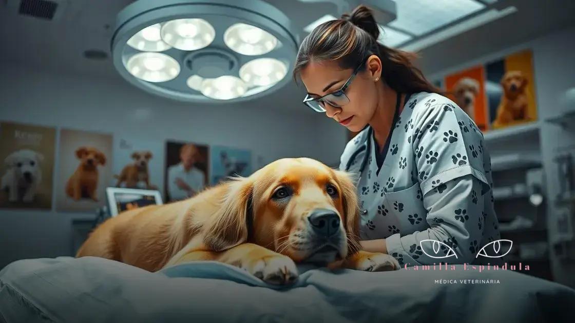 cirurgia catarata cão preço: quanto custa cuidar da visão do seu pet?